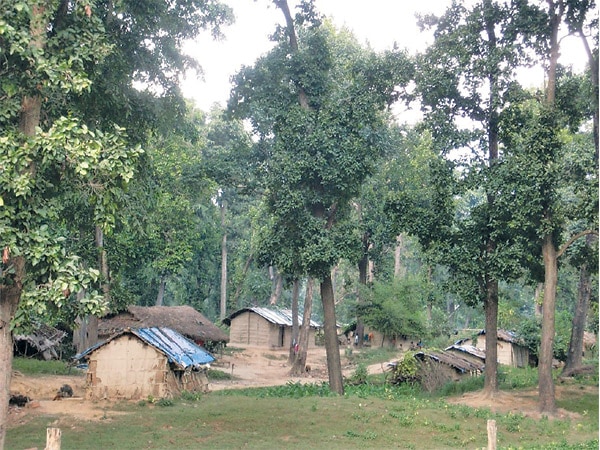 Land encroachment rampant in Kailali