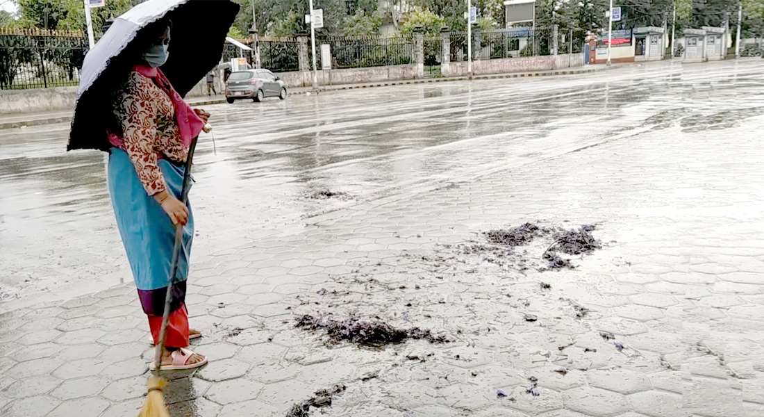 कोरोना महामारीमा काठमाडौंं महानगरका ९०० सफाइ कर्मचारीले झेलेको जोखिम