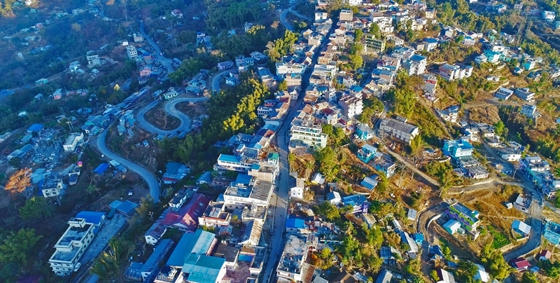 स्थानीय सरकारको सत्प्रयास: धनकुटामा एभोकाडो क्रान्ति