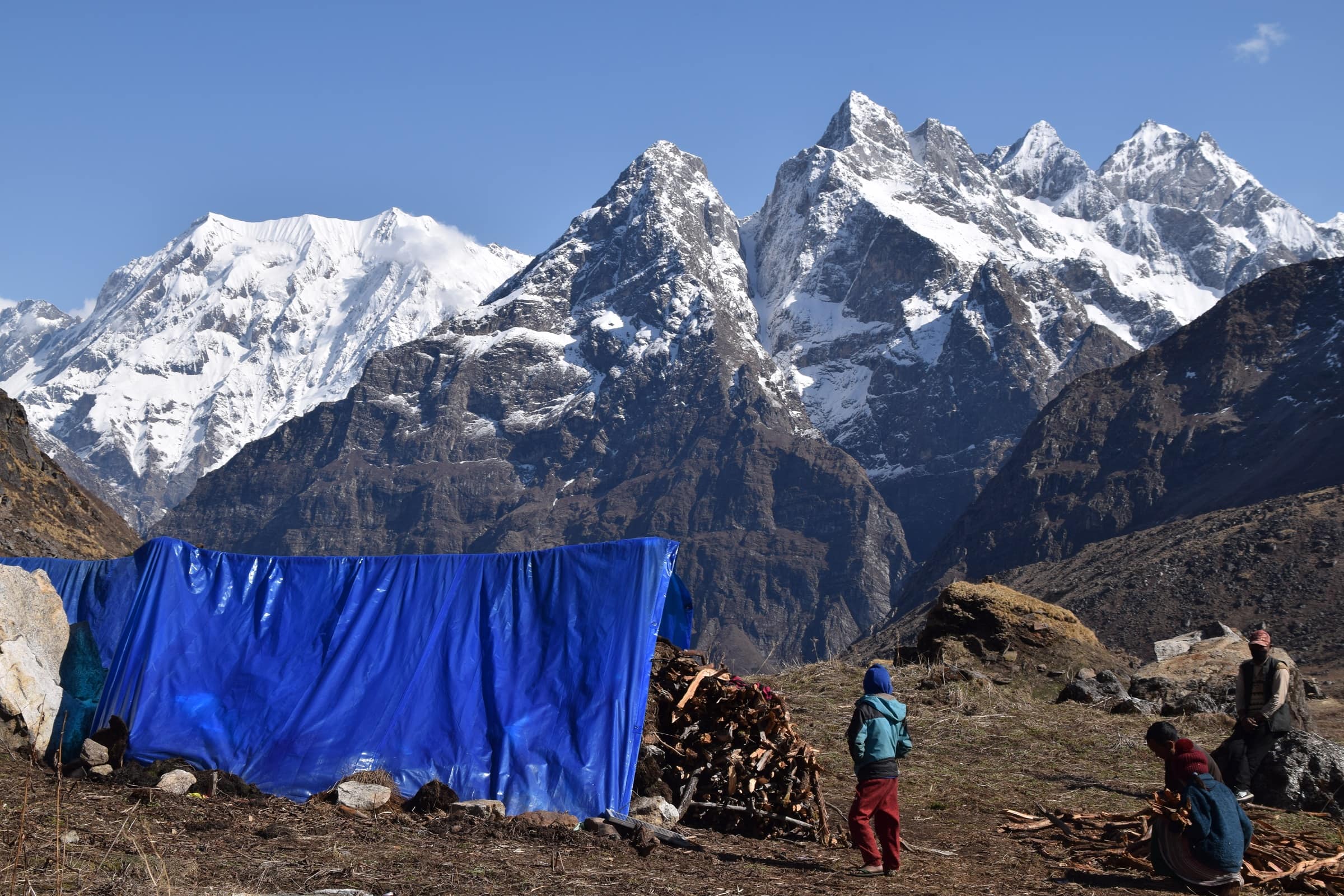 Ensuing Climate Crisis in Mountain owing to Massive Deforestation in High Passes